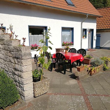 Apartament Ardea Alba Wunstorf Zewnętrze zdjęcie