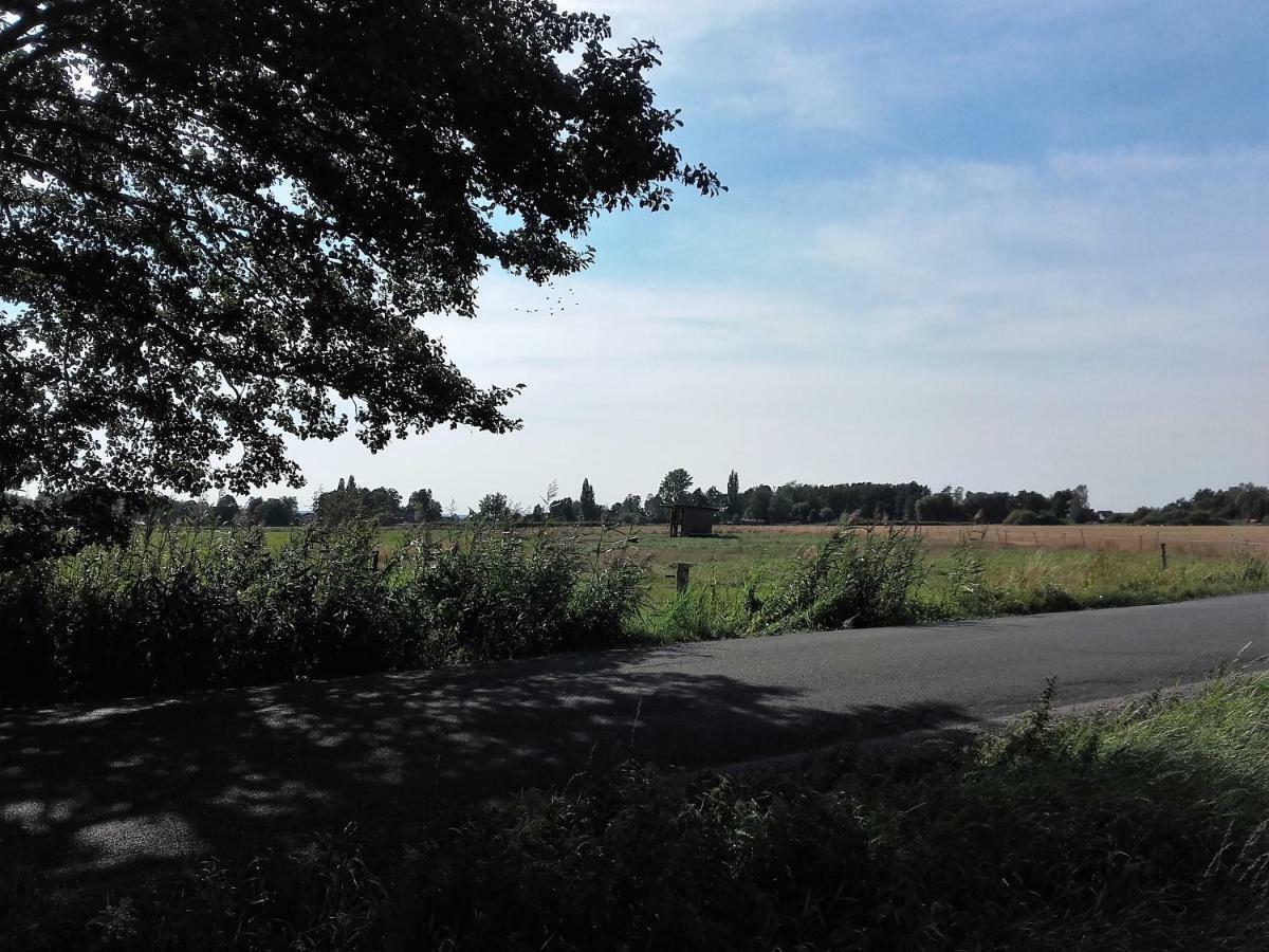 Apartament Ardea Alba Wunstorf Zewnętrze zdjęcie